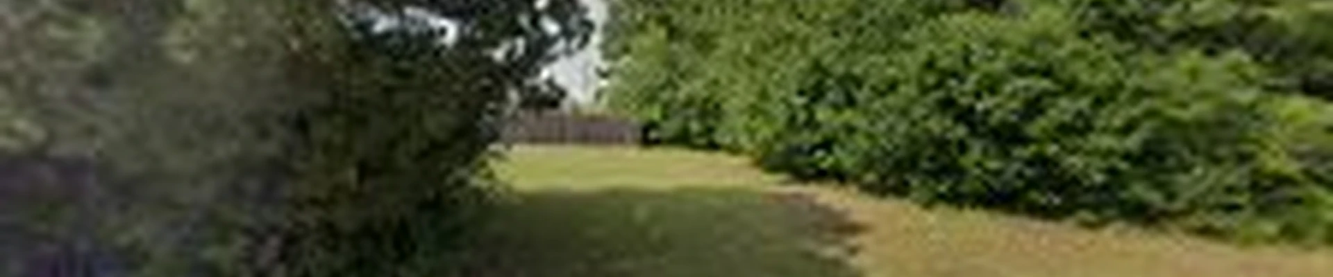 SavATree - Tree Service & Lawn Care