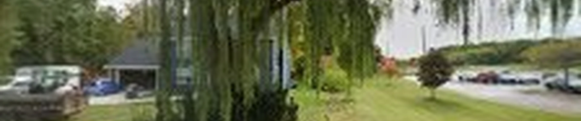 Trapp Tree Service