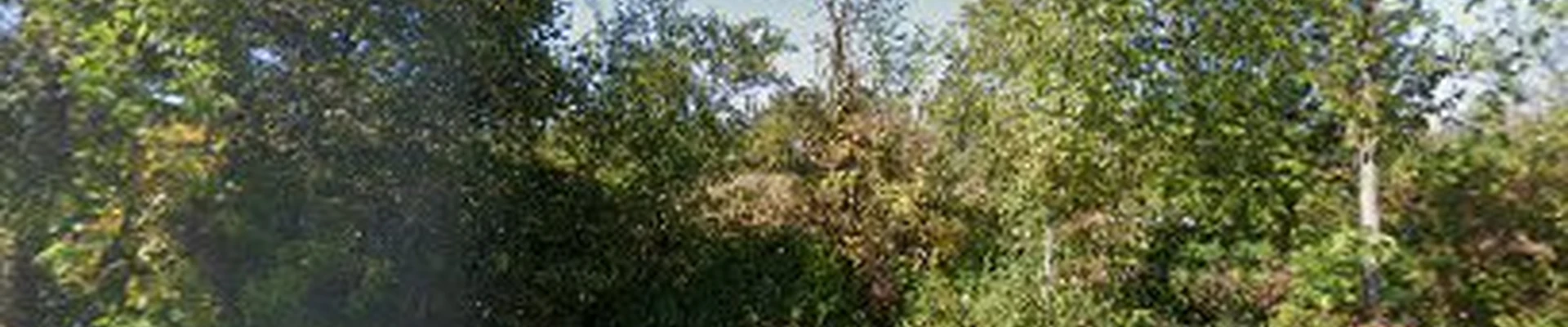 Nichols Tree Services