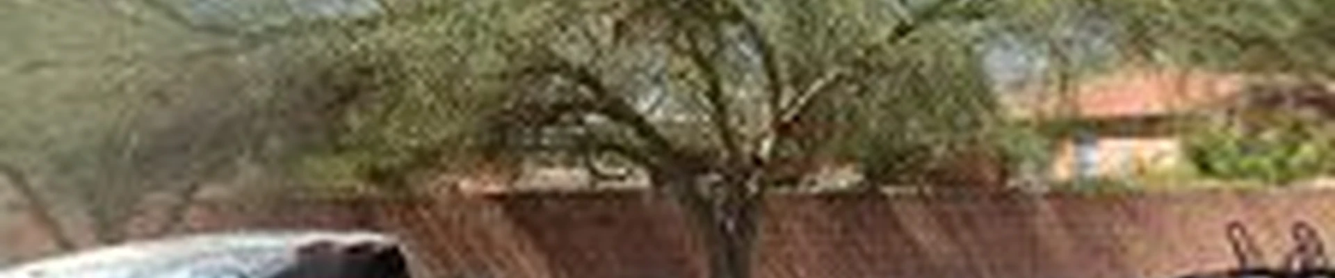 Arizona LandShapes