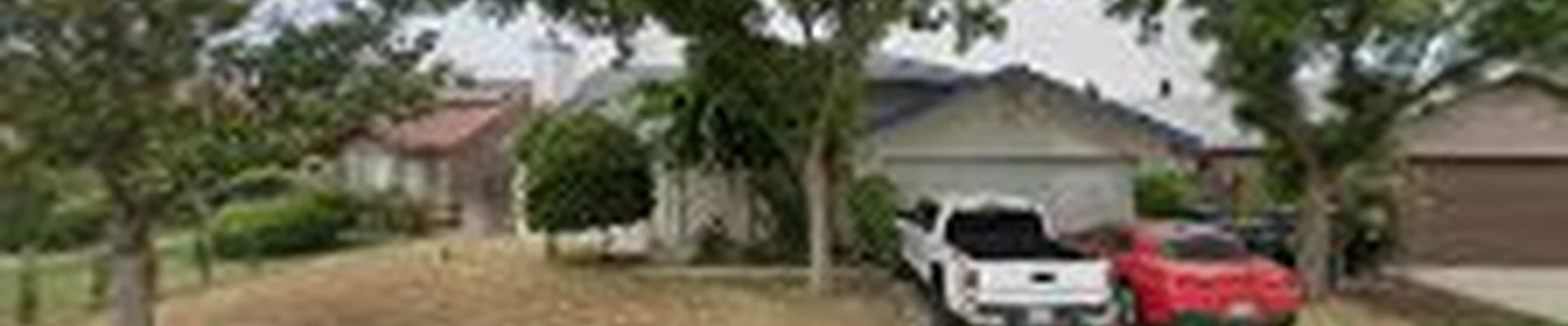 LVR tree service