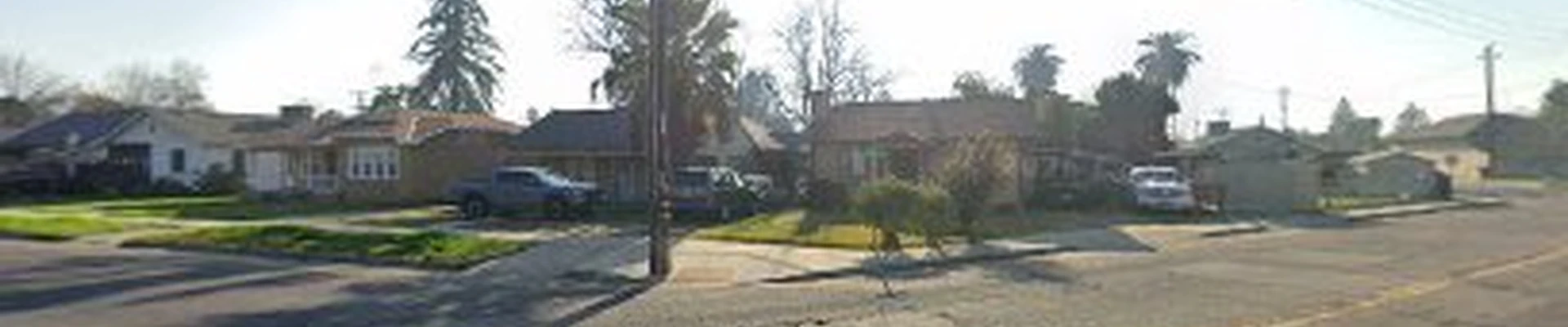 Cardinal Tree Service