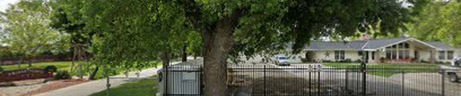 Richard's Tree Service.