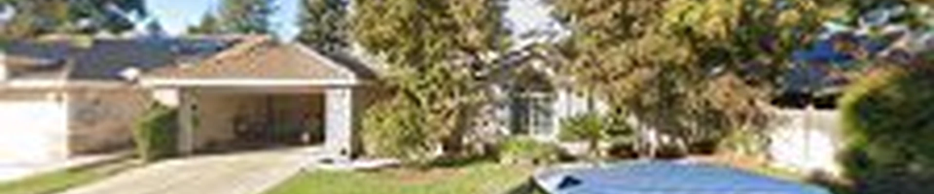 Ski's Tree Services