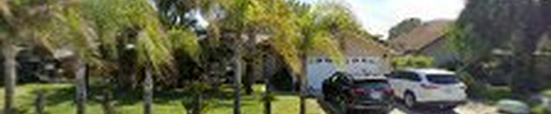 Central Valley Tree Service