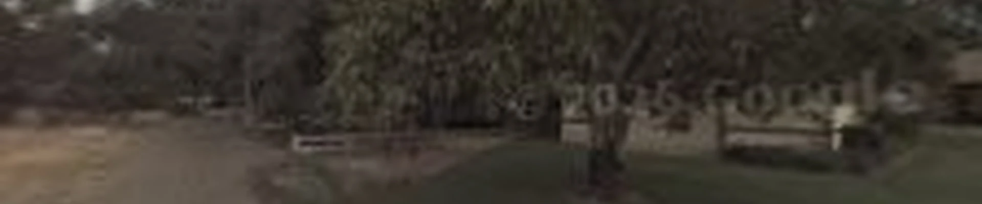 Gutierrez Tree Care 1