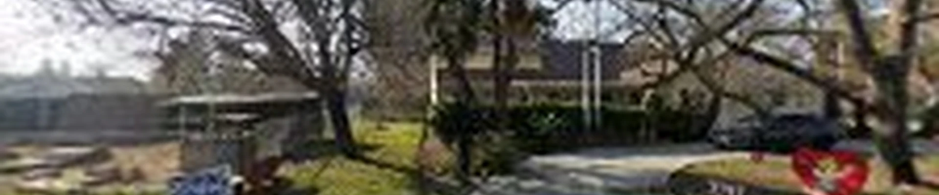 Jack Benigno Tree Services