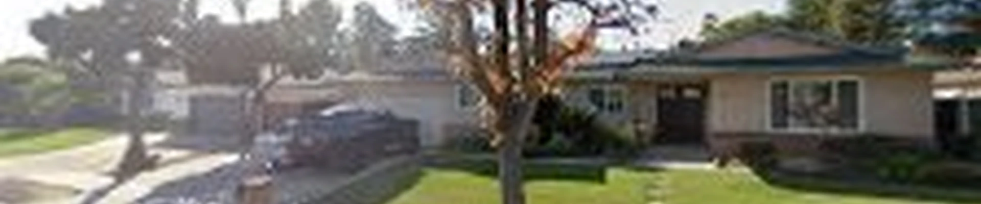 Melebeck's Tree Service