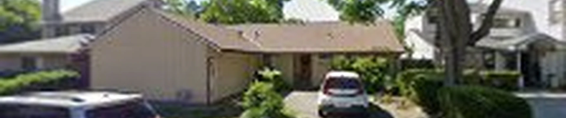 American Arbor Tree Care
