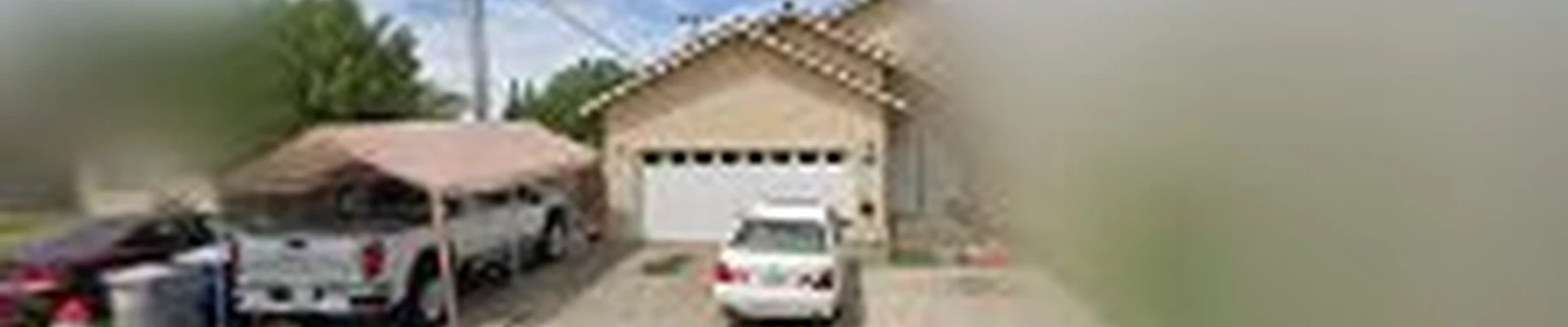 Affordable Tree and Palm Tree Services