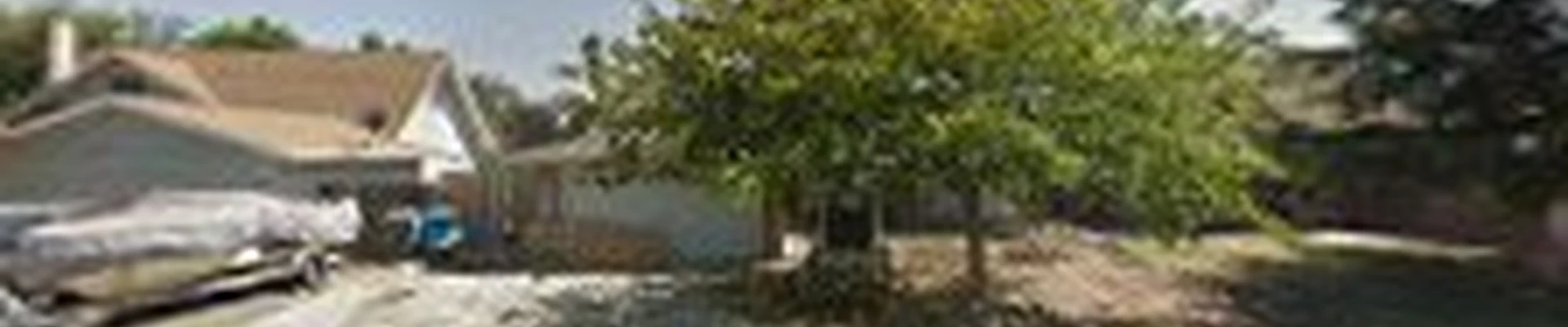 Mountain tree service