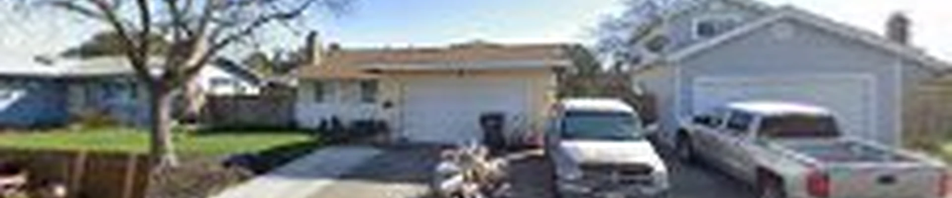 Bay to Sac Tree Services