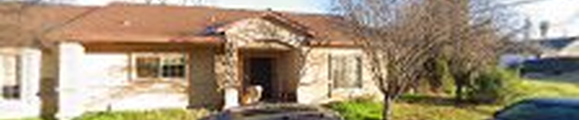 Tree Certified DLS Xpert