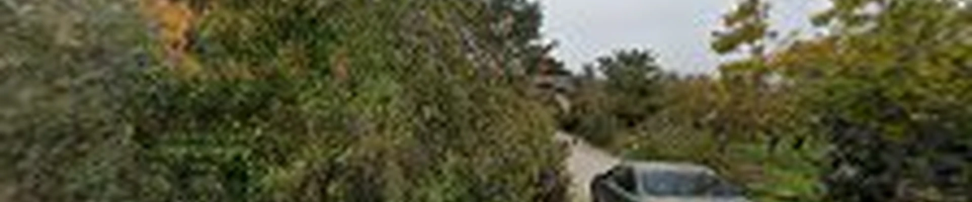 R&D Tree Service
