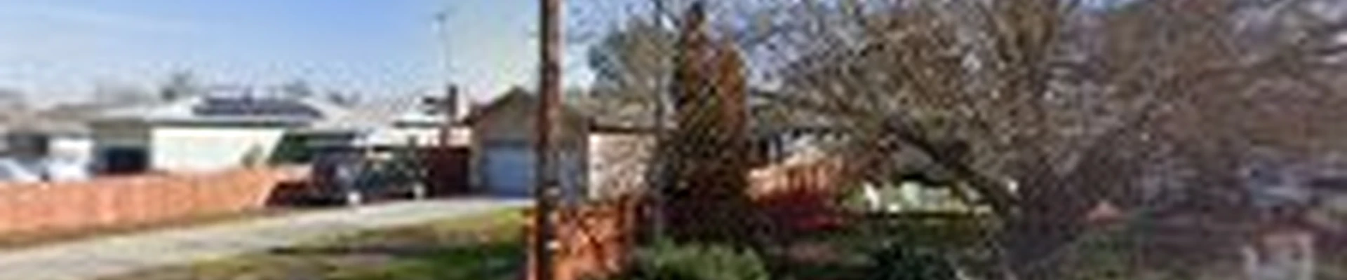 J Donis tree seevice