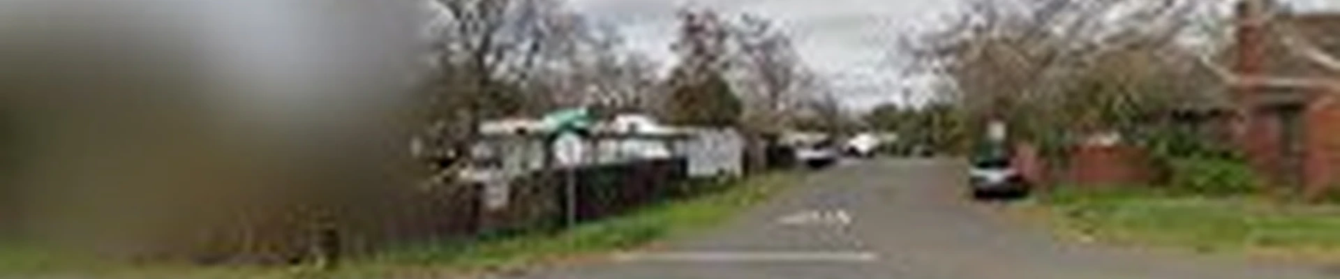 Citrus Heights Tree Service
