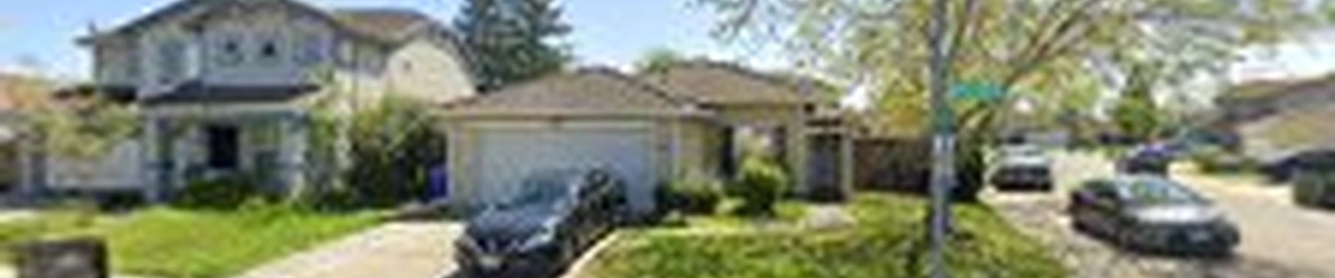 Elk Grove Tree Removal