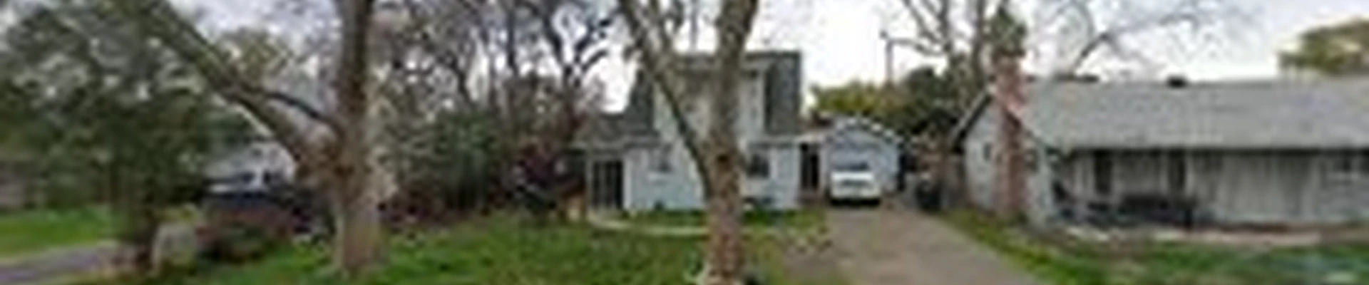 YIL Tree service