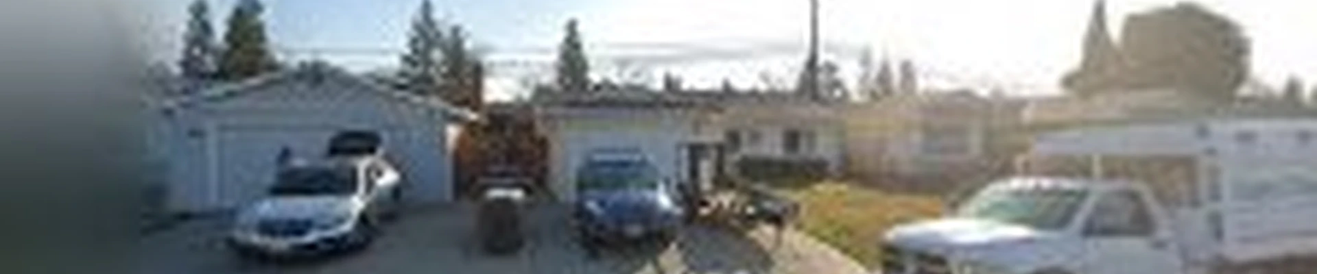 Lopez Tree Service