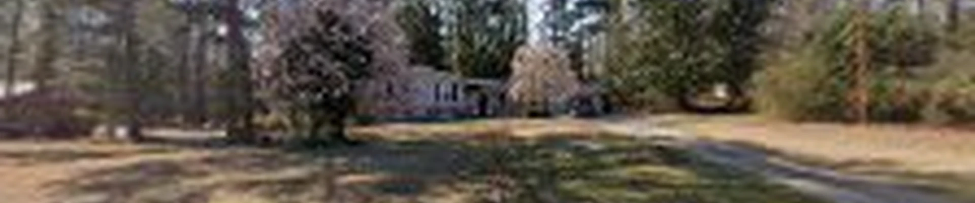 VR Contracting Services - Tree Service College Park GA