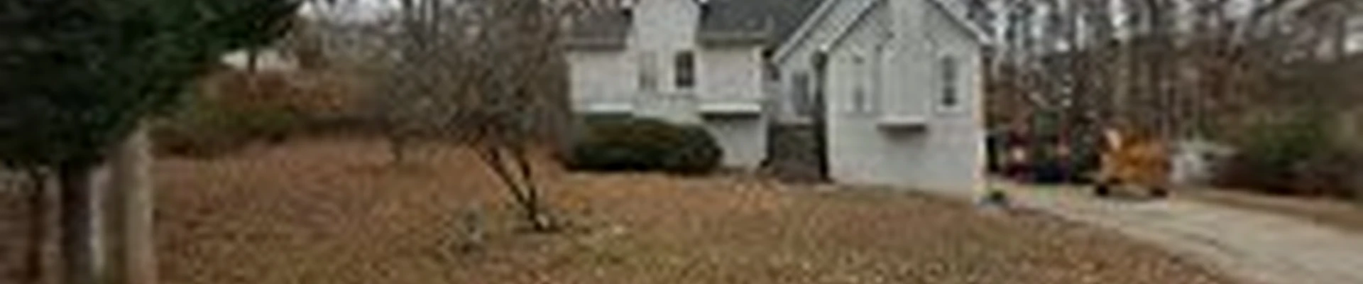 Shackleford Tree Service