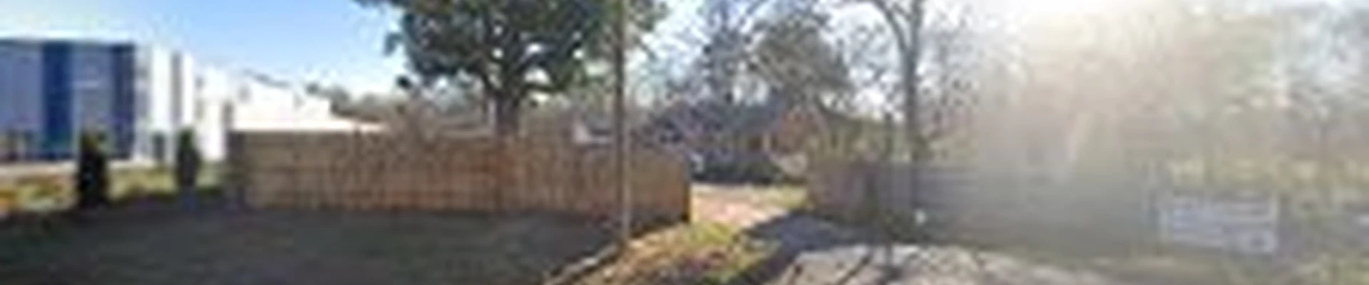 Axpert tree service
