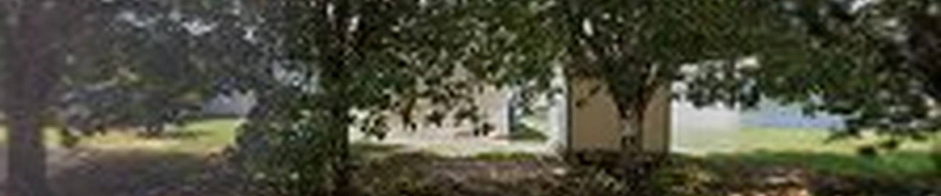DIAZ TREE SERVICE'S LLC