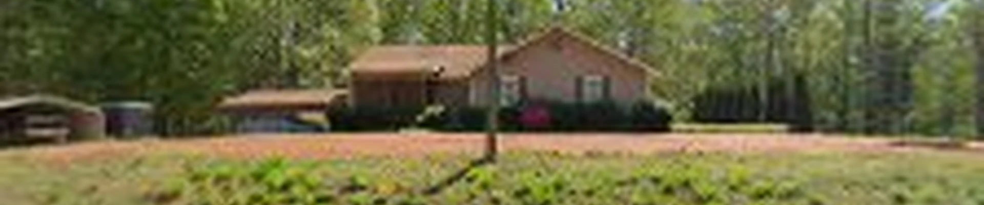 Jesus Tree Services