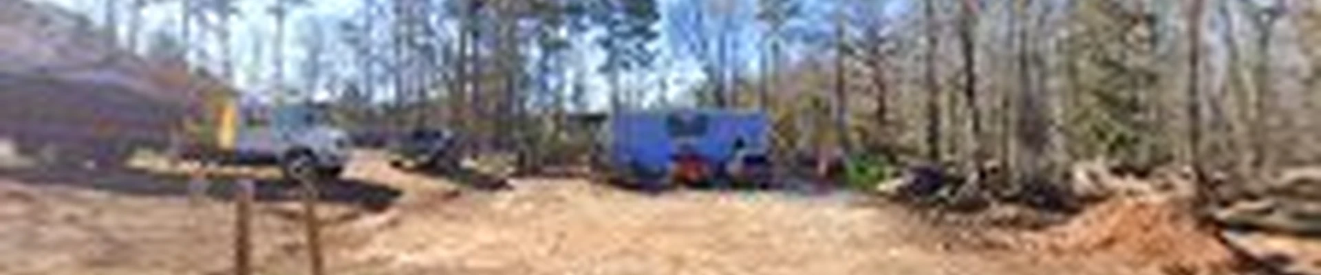 Georgia Pro Tree Services
