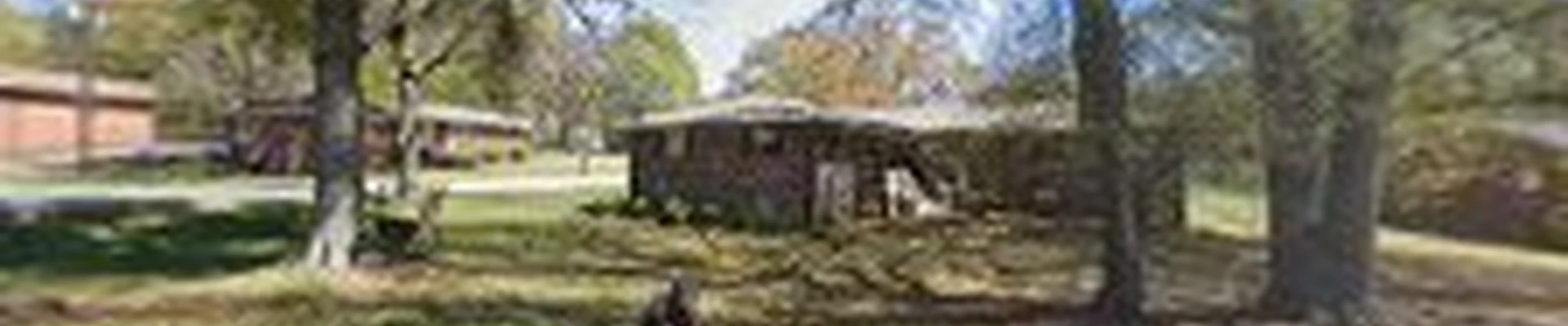 JM Tree Service Douglasville