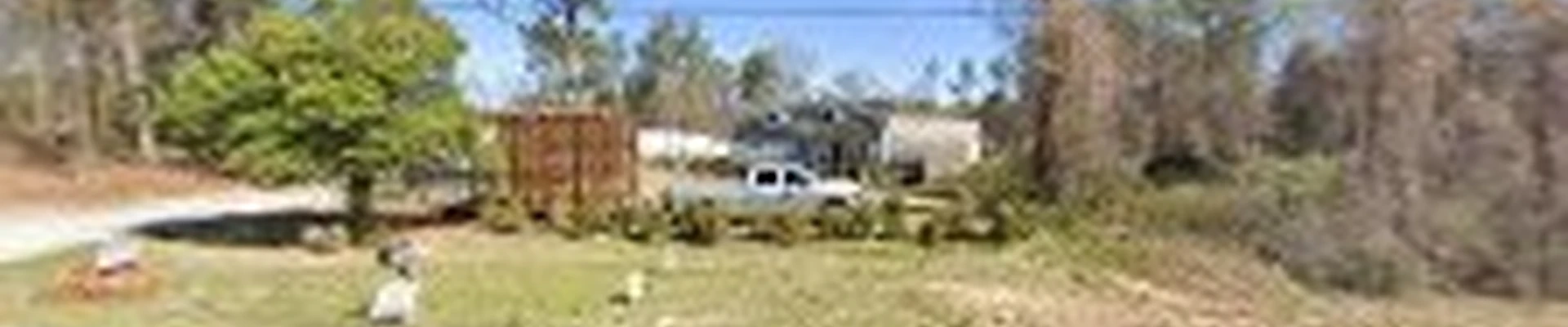 Riverside Tree Service