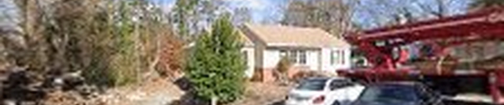 Richmond Tree Experts GA