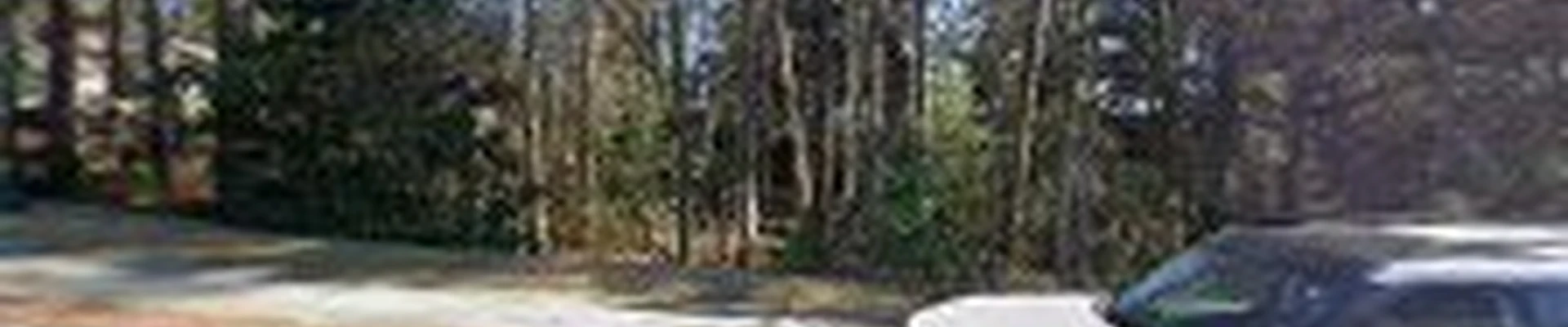 Robert's Tree Services