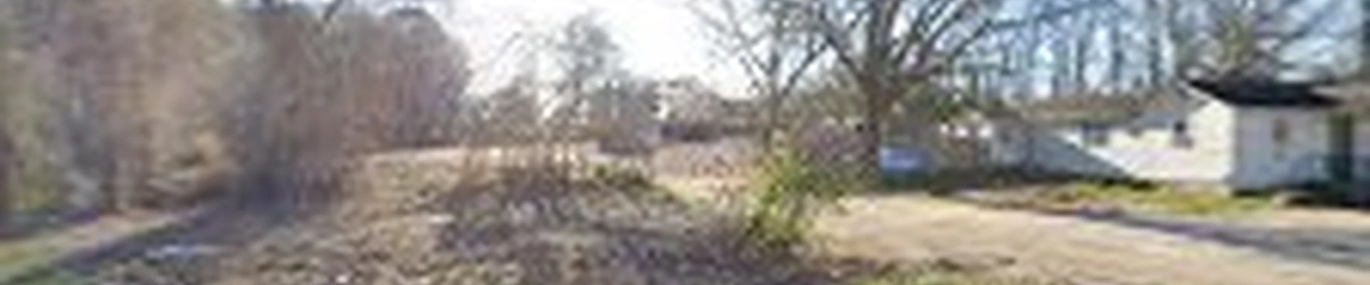 Red Oak Tree Service 1