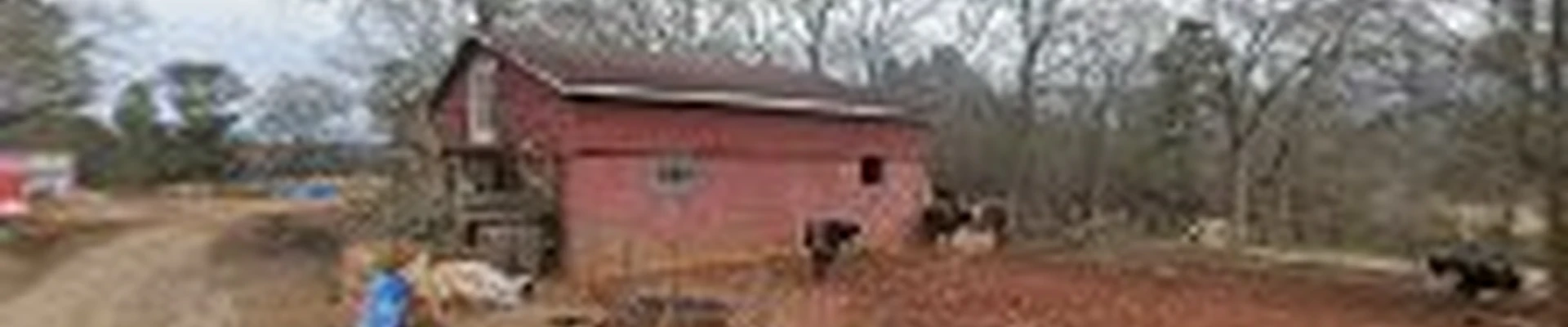 Great Price Tree Service LLC