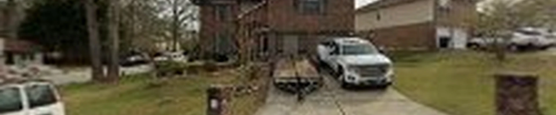 Luis Professional Tree Services
