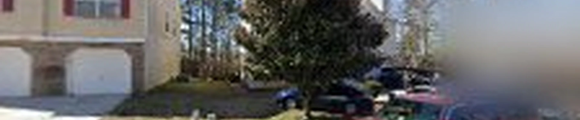 Escamilla Tree Service - Emergency Tree Removal
