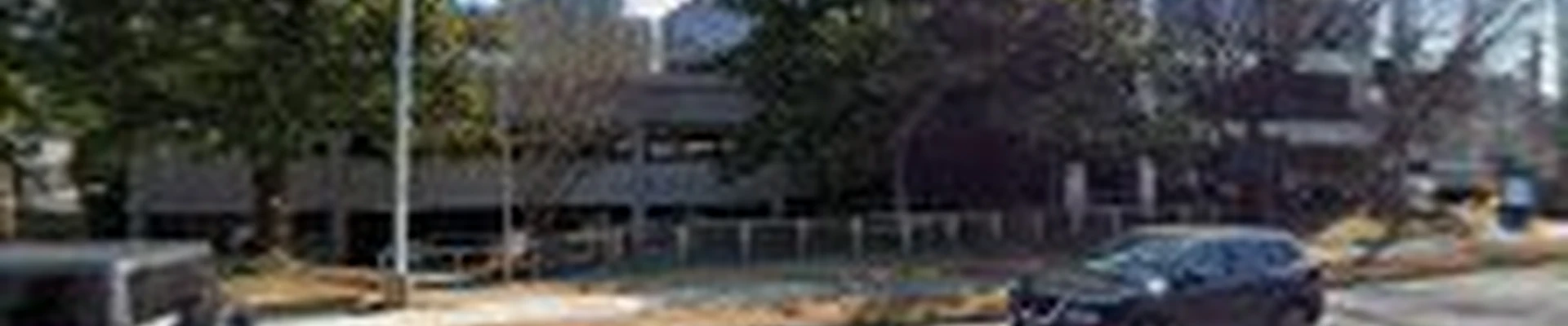 Peachtree Arborists