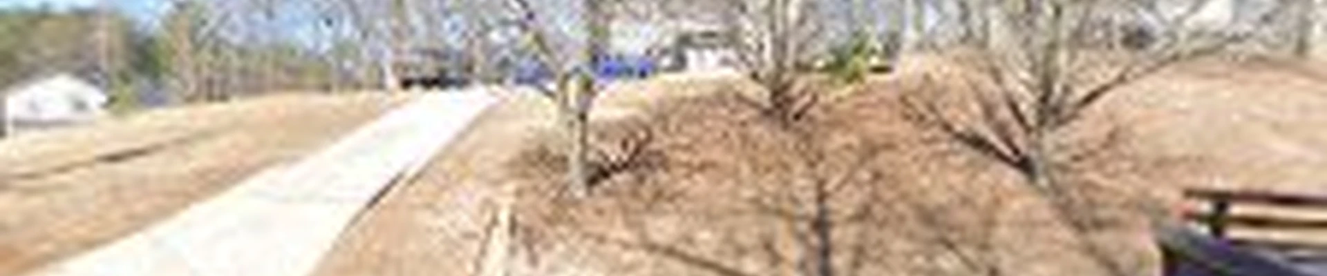 Pro Service Tree Service LLC