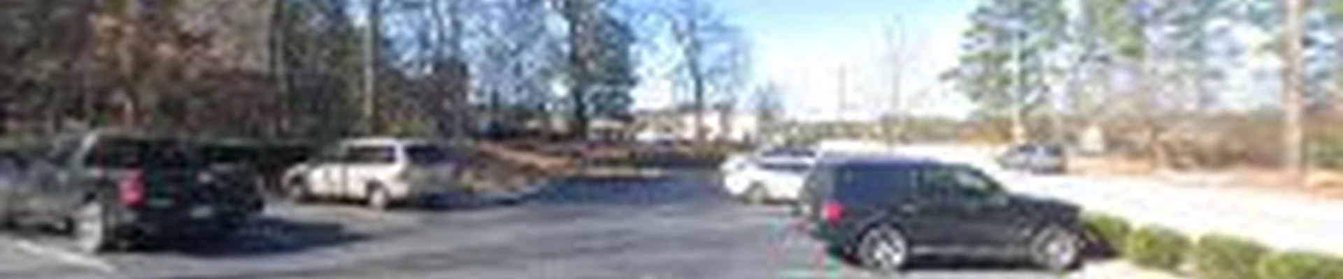 Vilchis Tree Services Pro of Douglasville