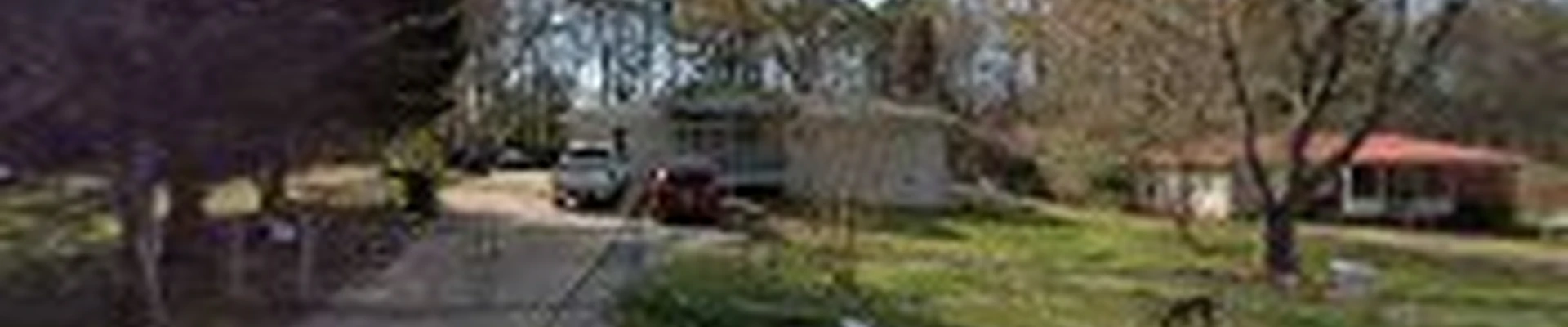 All In Tree Services and Pro