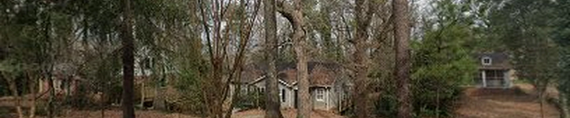 Hugo's Tree Service