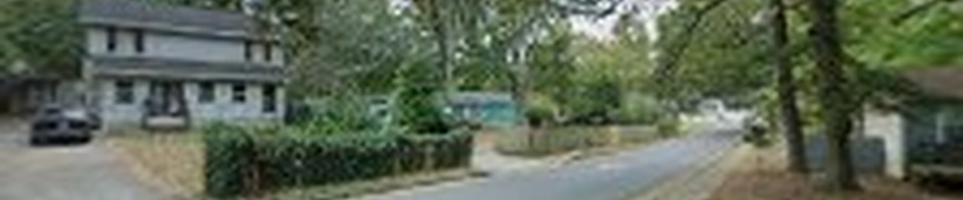 V&R Tree Service ATL