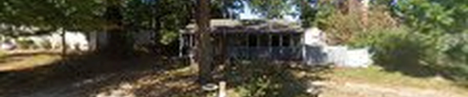 PHOENIX TREE SERVICE
