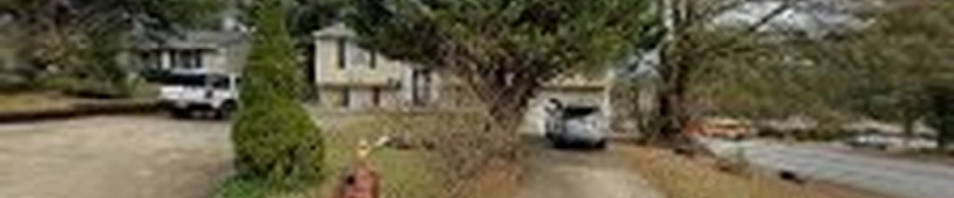 Georgia Waterproofing & Tree Services