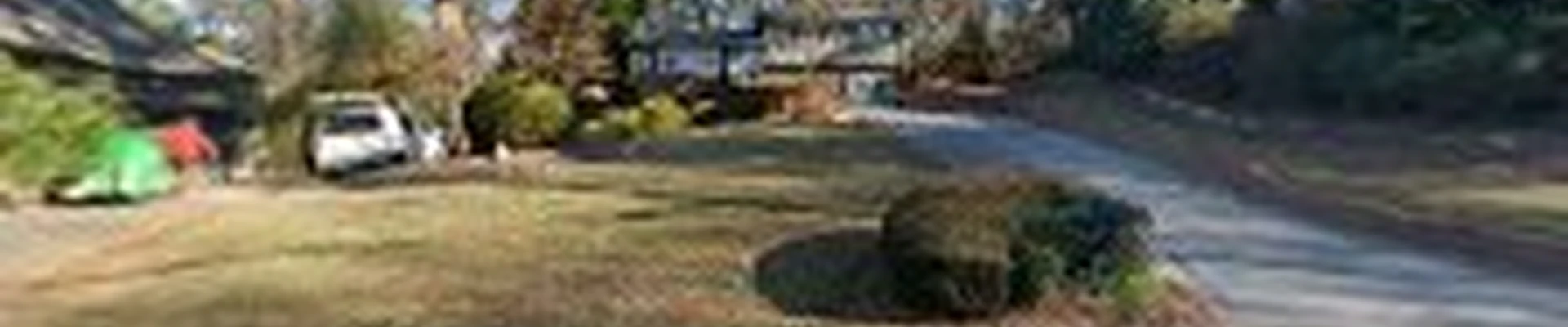 Timber Tree Services