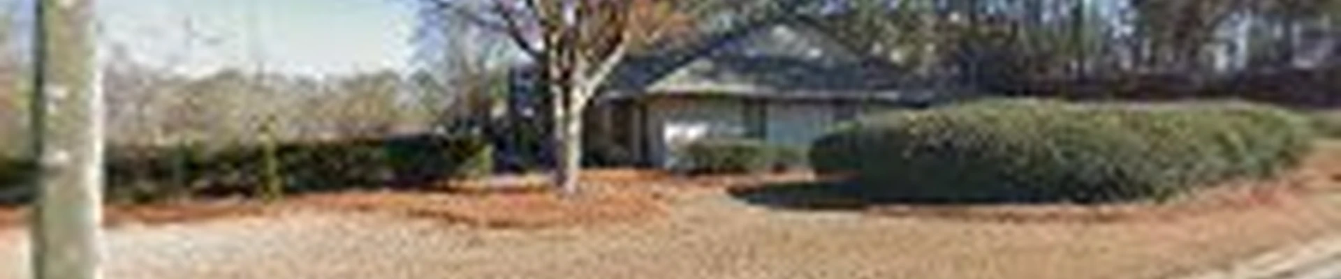 Trees of Georgia, Inc.