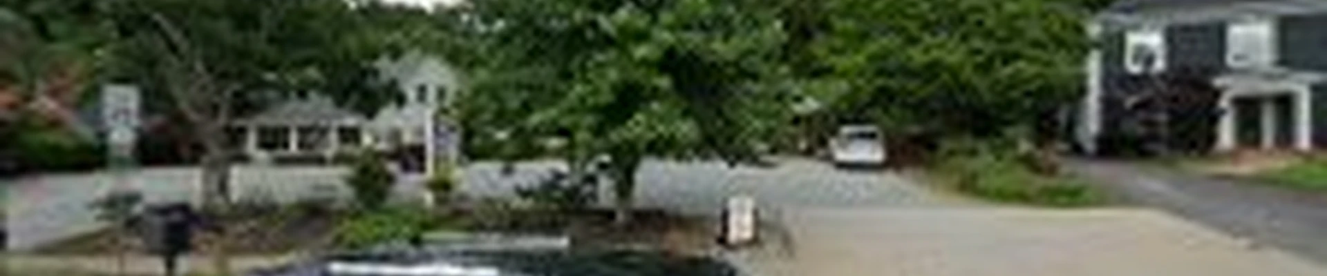 Todd's Roswell Tree Removal Service