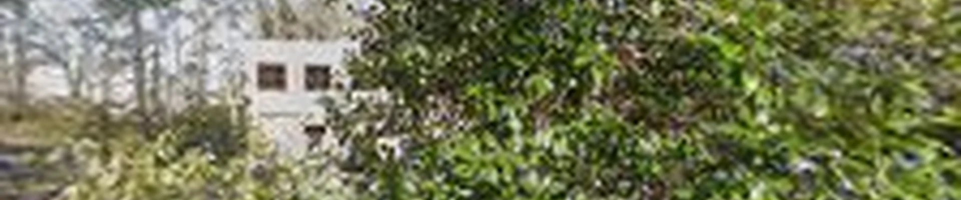 Simply Organic Turf Care & Lawn Care