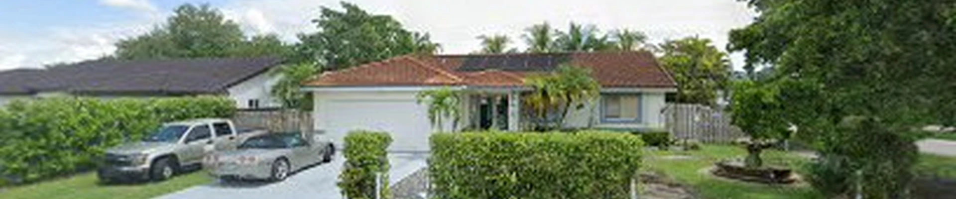 Miami Tree Service